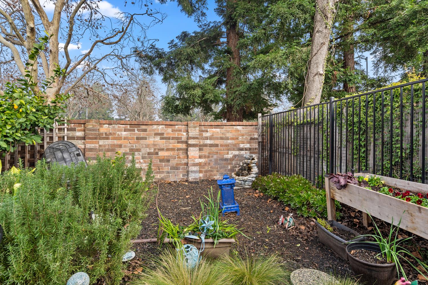 7013 Tiant Way Elk Grove, CA 95758 - Photo 17 of 17 a garden view with a seating space