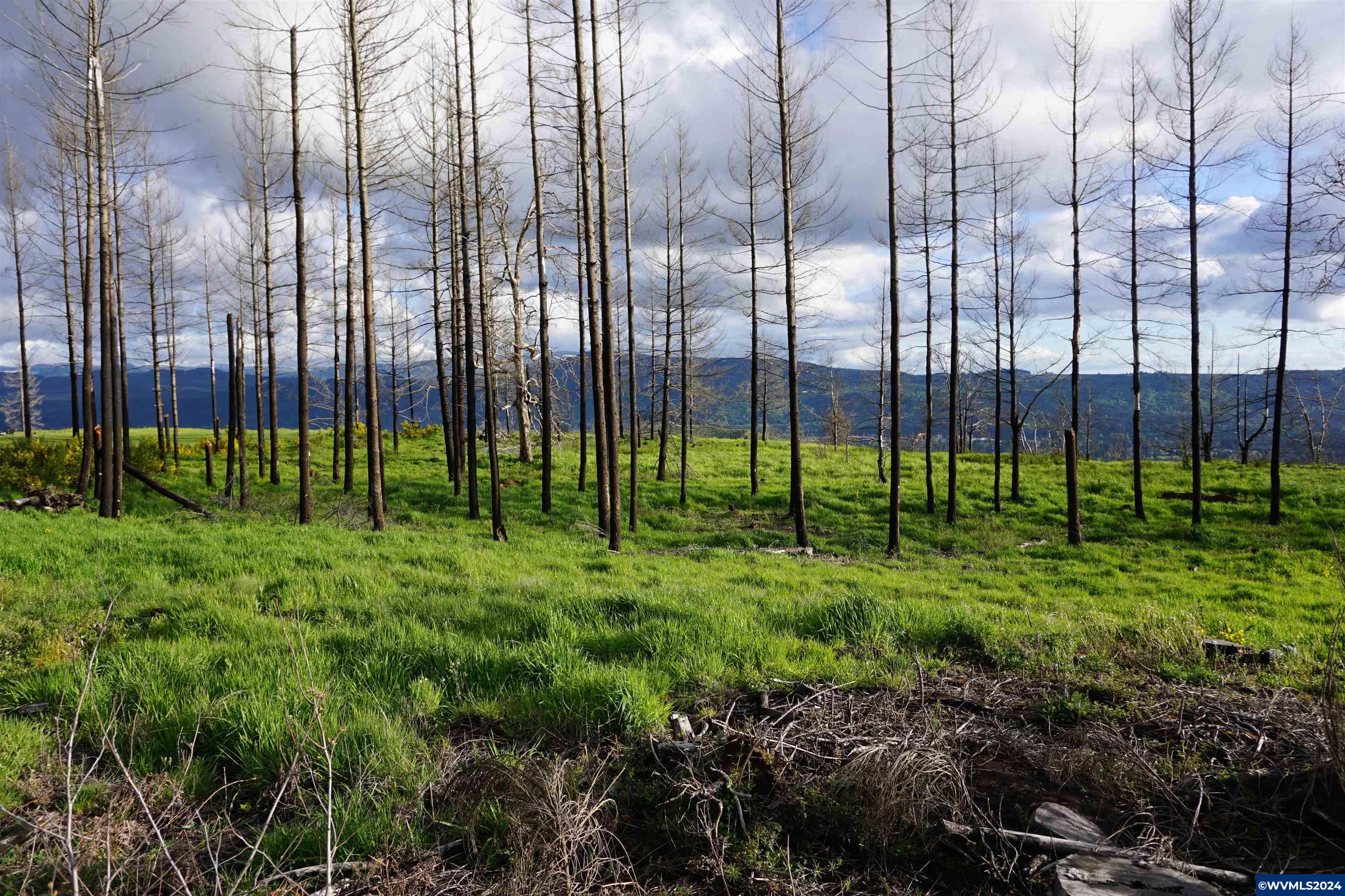 900 Wagner Road Lyons, OR 97358 - Photo 23 of 30