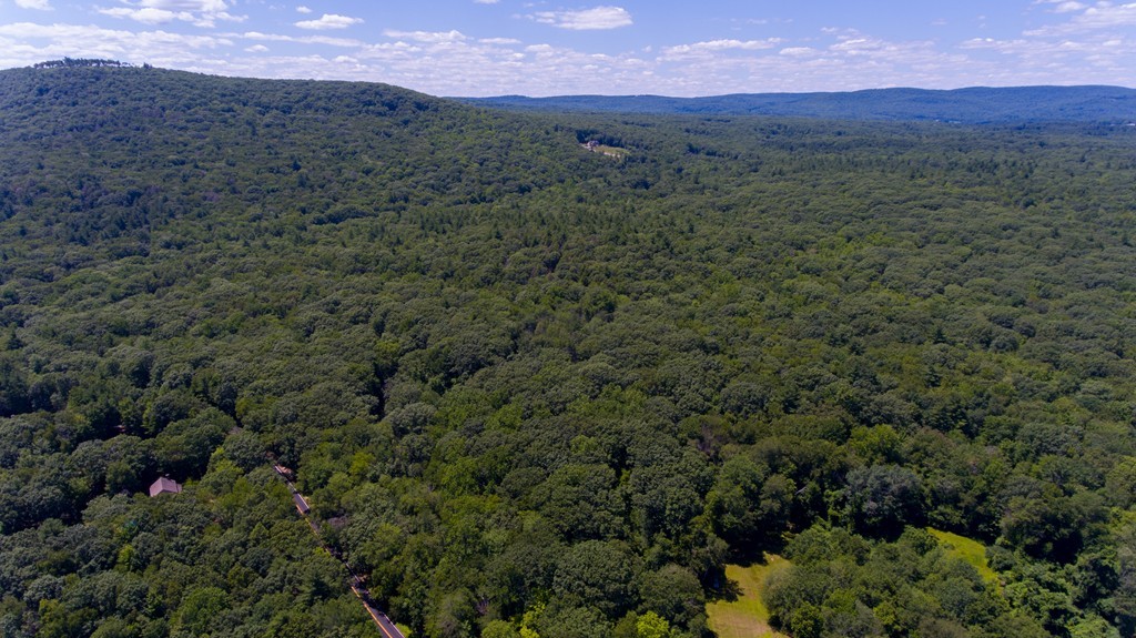 a view of a lush green hillside and a houses
