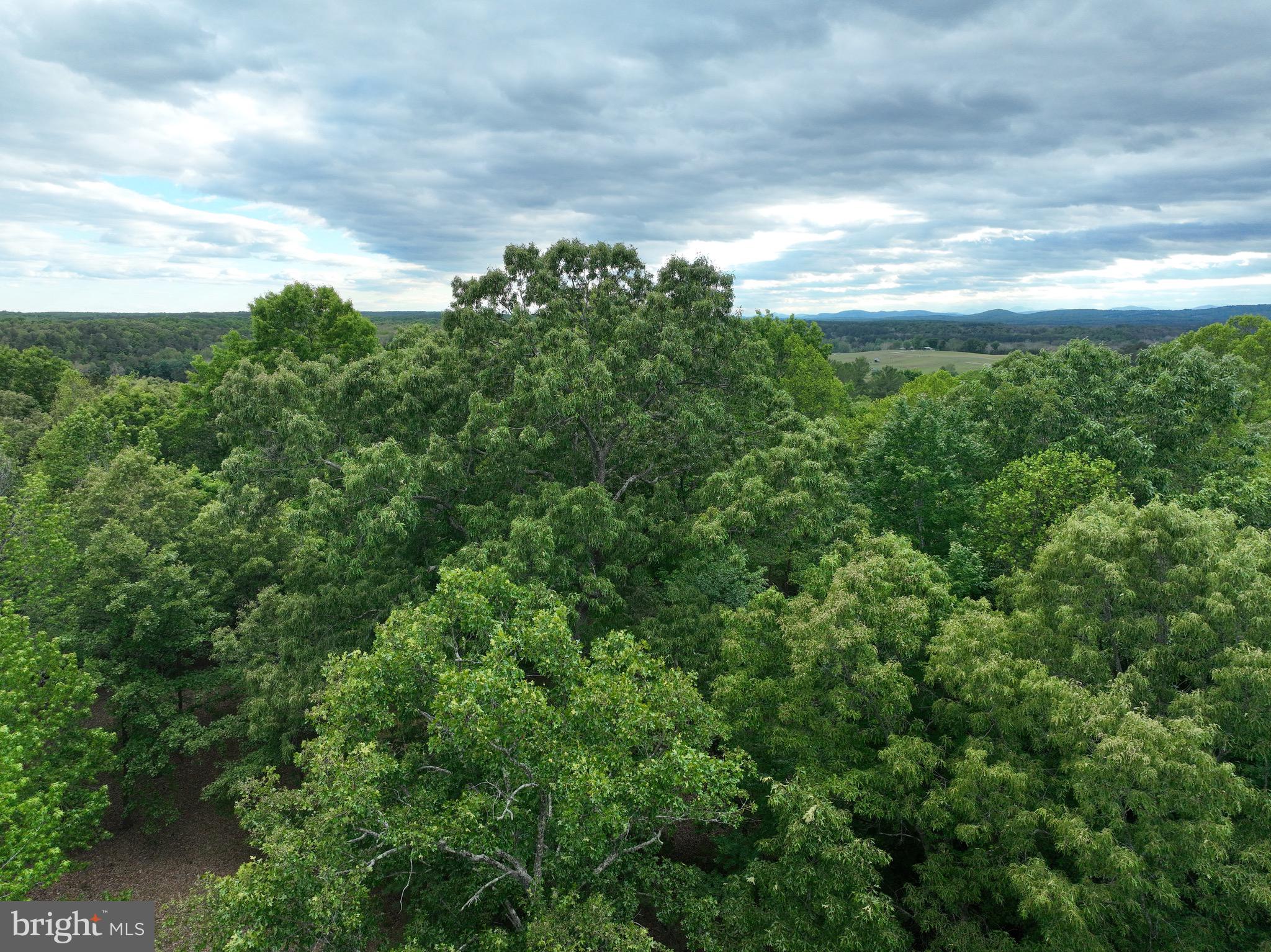 0 Rivanna Ridge Troy, VA 22974 - Photo 26 of 27