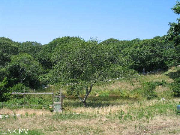 3 Tar Barrel Road Aquinnah, MA 02535 - Photo 4 of 11 http://d1qzqeyxiitrap.cloudfront.net/photos/17923/600/4f51da3a.jpg