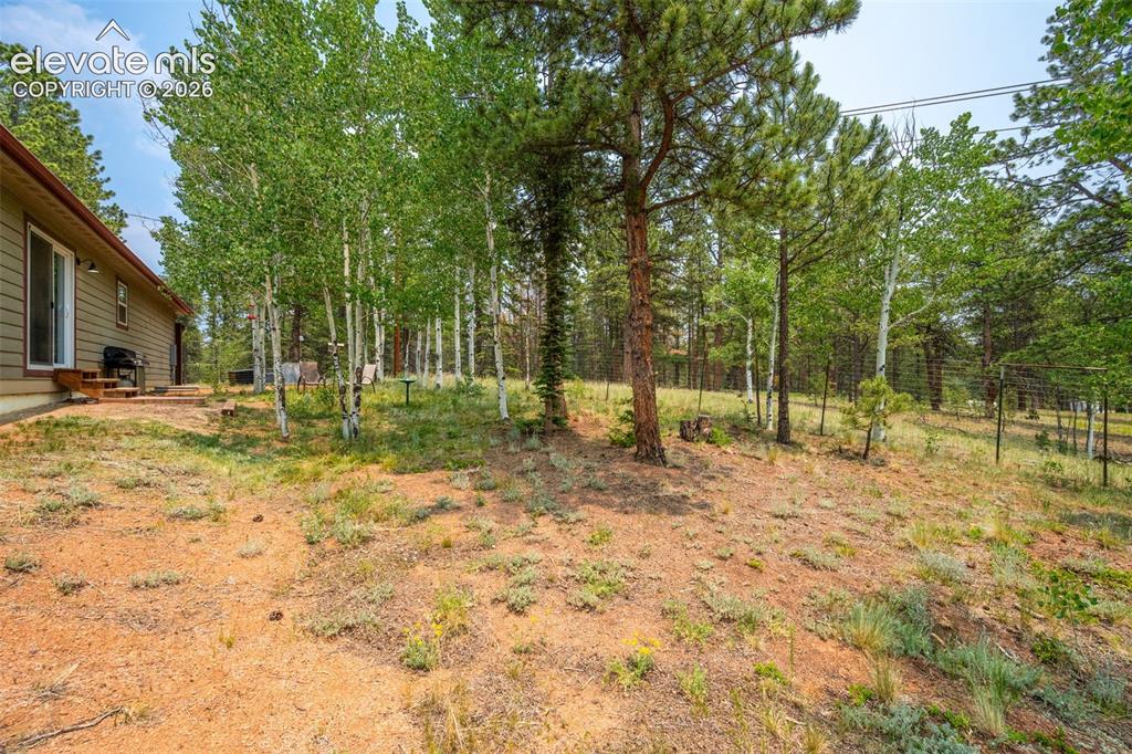 156 Fossil Creek Road Florissant, CO 80816 - Photo 39 of 47