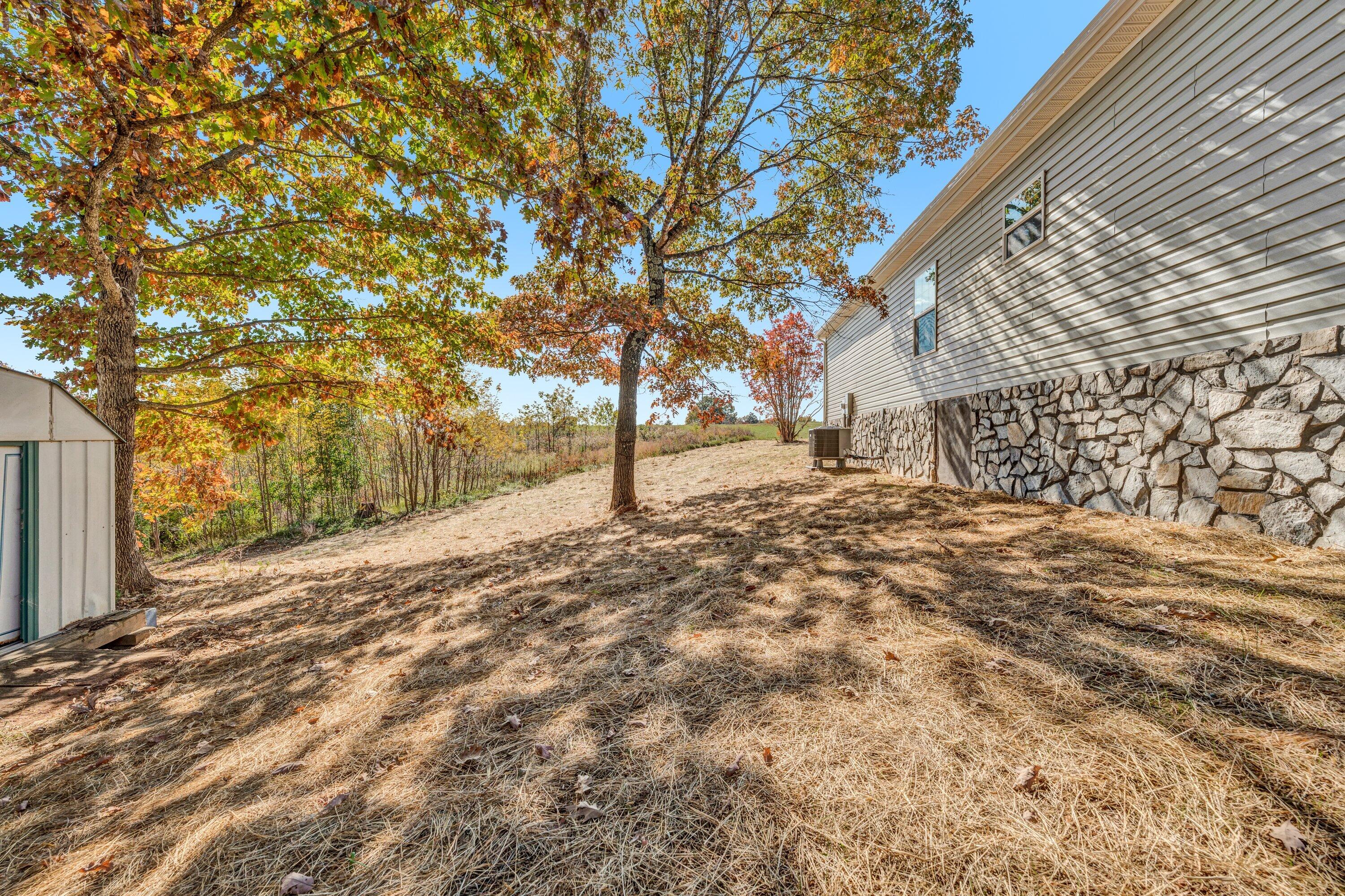 2098 Lipscomb Road Moneta, VA 24121 - Photo 25 of 27 a view of dirt yard with a tree