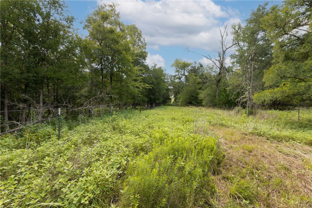 4074 Bucksnort Road Franklin, TX 77856 - Photo 36 of 41