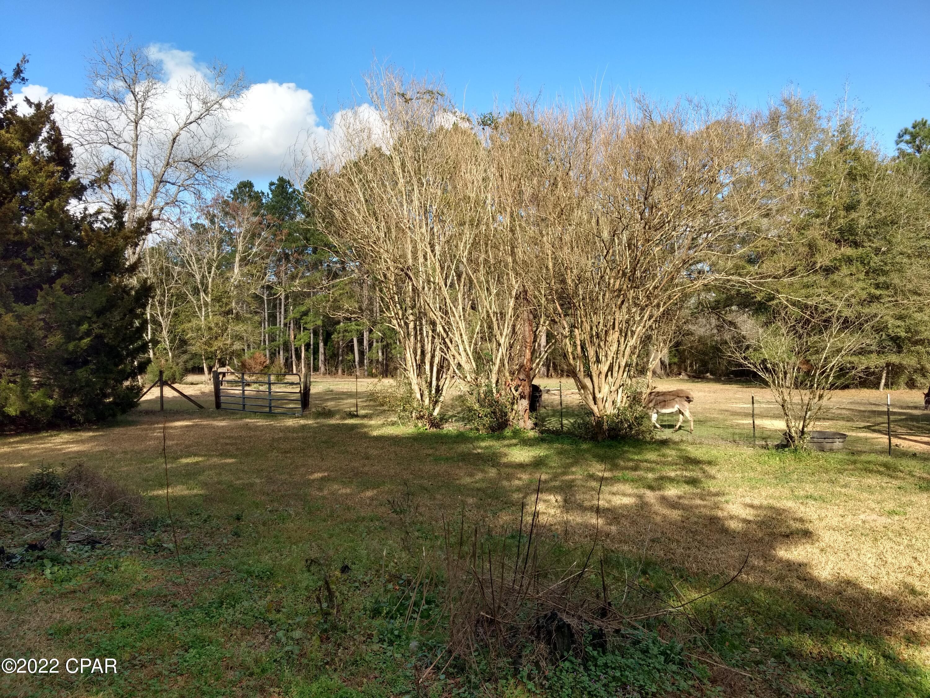 2972 Coon Bottom Road Ponce de Leon, FL 32455 - Photo 7 of 39 Gallery Image 7