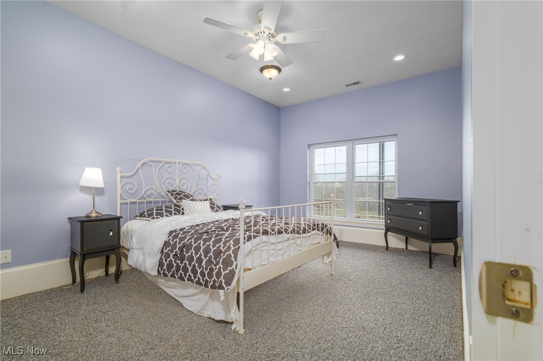 35955-35959 Bower Road Scio, OH 43988 - Photo 30 of 50 Bedroom with ceiling fan and carpet