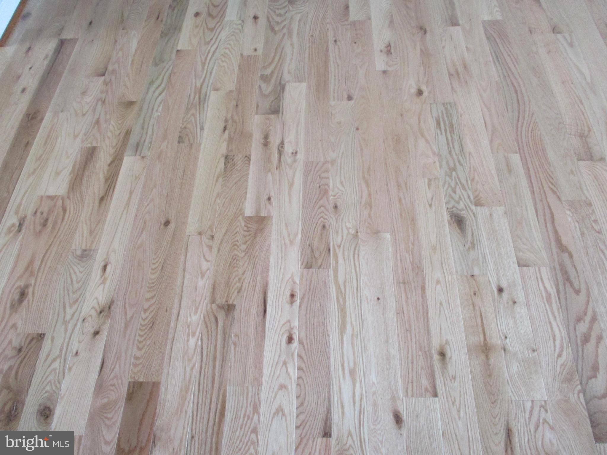 5644 Whitby Road Baltimore, MD 21206 - Photo 4 of 30 Natural Hardwood Flooring