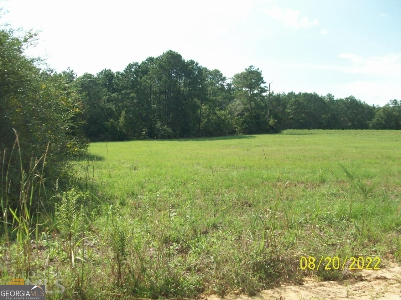650 Tom Howard Farm Road Vienna, GA 31092 - Photo 5 of 13