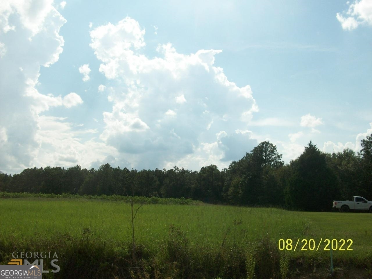 650 Tom Howard Farm Road Vienna, GA 31092 - Photo 9 of 13