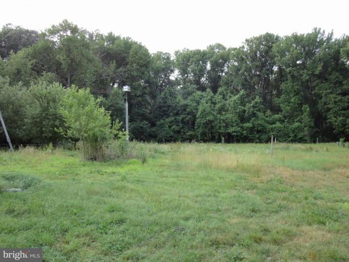 305 Hoffecker Road Chestertown, MD 21620 - Photo 25 of 29 Exterior (Rear)