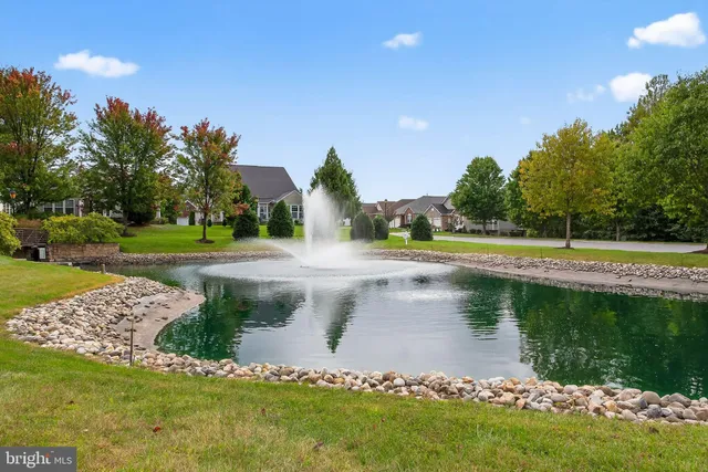 a view of a lake from a yard