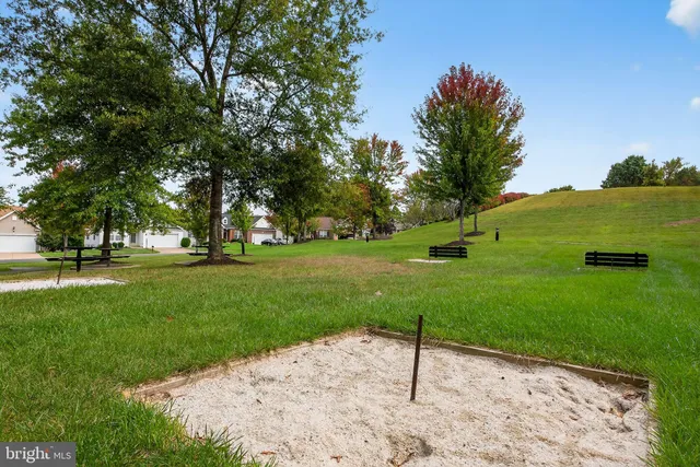 a view of a park with large trees
