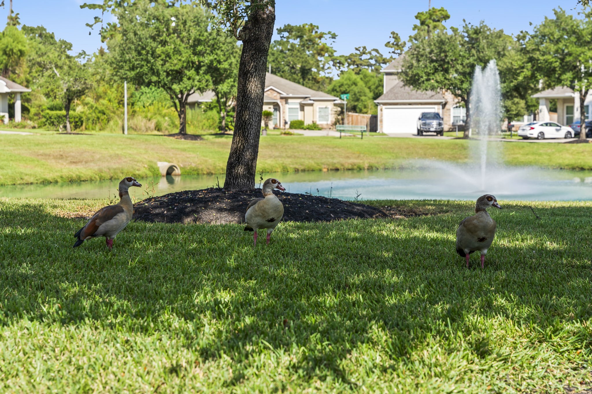8407 Oak Villa Court Spring, TX 77389 - Photo 36 of 40 a view of a house with a yard