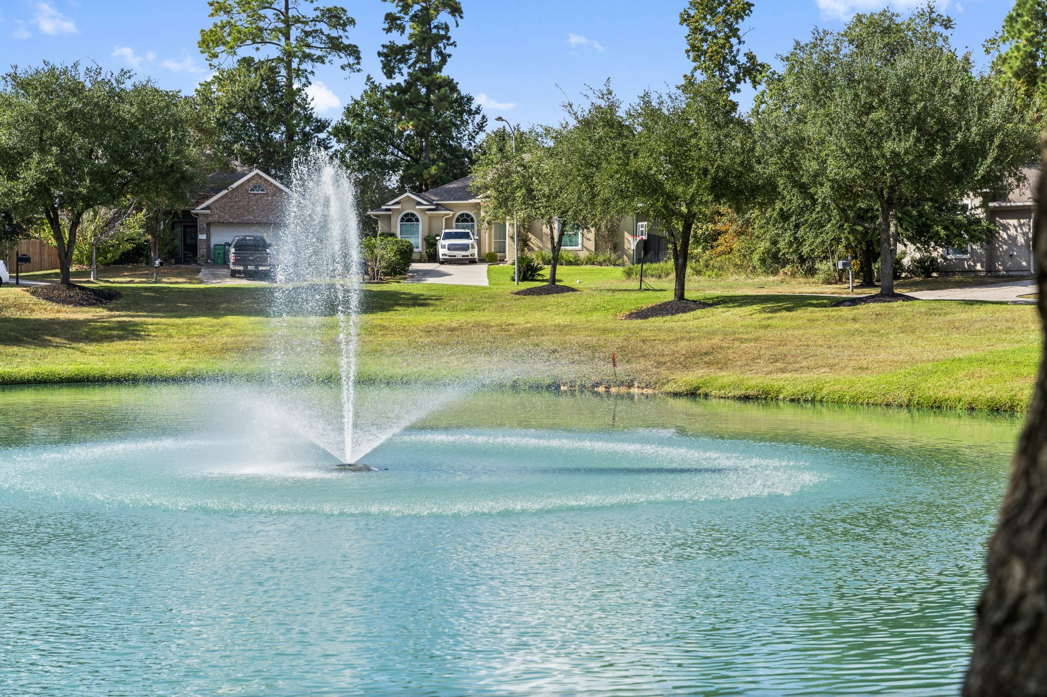 8407 Oak Villa Court Spring, TX 77389 - Photo 37 of 40 a view of a house with a yard