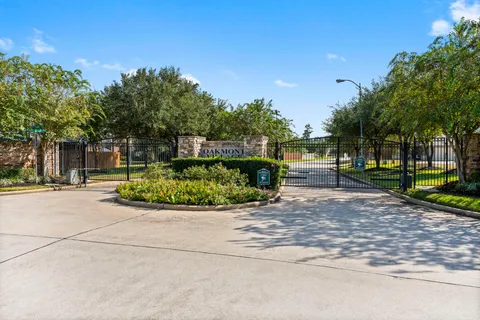 a view of a garden with plants