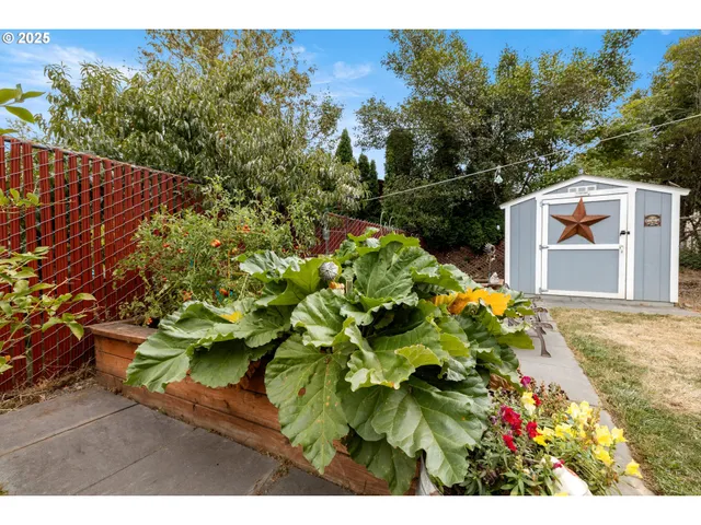 a picture of flowers