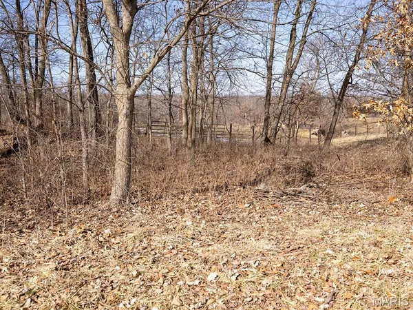 $988,300 | 1175 Pike 41, Bowling Green, MO 63334