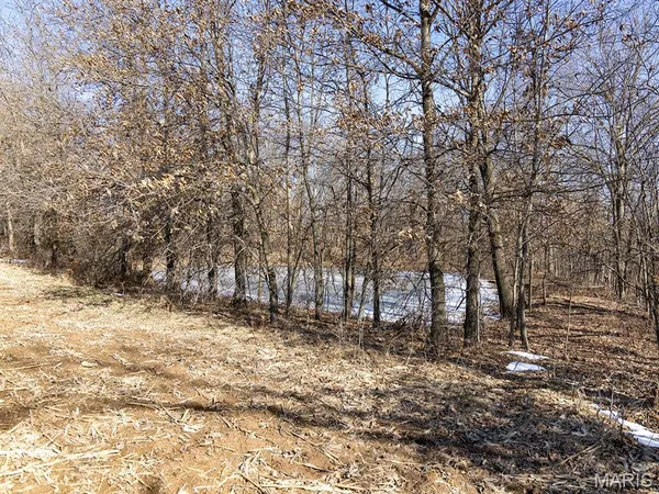 $988,300 | 1175 Pike 41, Bowling Green, MO 63334