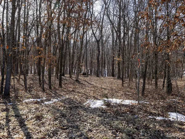 $988,300 | 1175 Pike 41, Bowling Green, MO 63334