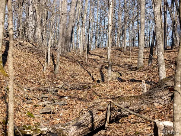 $988,300 | 1175 Pike 41, Bowling Green, MO 63334