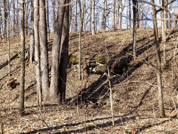 $988,300 | 1175 Pike 41, Bowling Green, MO 63334