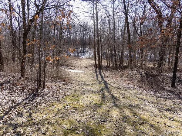 $988,300 | 1175 Pike 41, Bowling Green, MO 63334