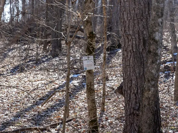 $988,300 | 1175 Pike 41, Bowling Green, MO 63334