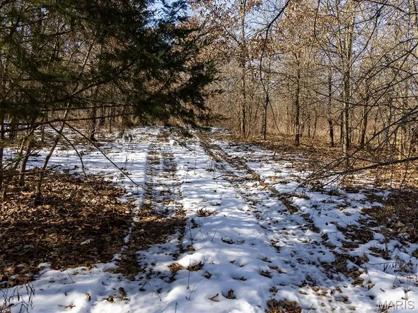 $988,300 | 1175 Pike 41, Bowling Green, MO 63334