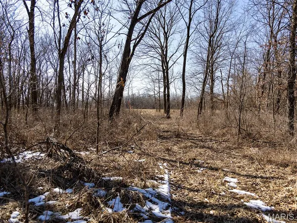 $988,300 | 1175 Pike 41, Bowling Green, MO 63334