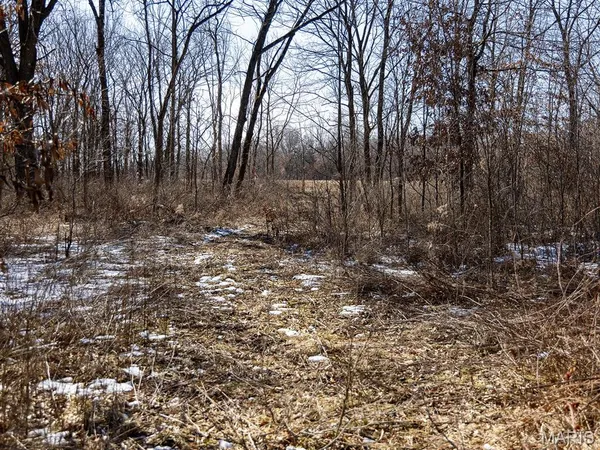 $988,300 | 1175 Pike 41, Bowling Green, MO 63334