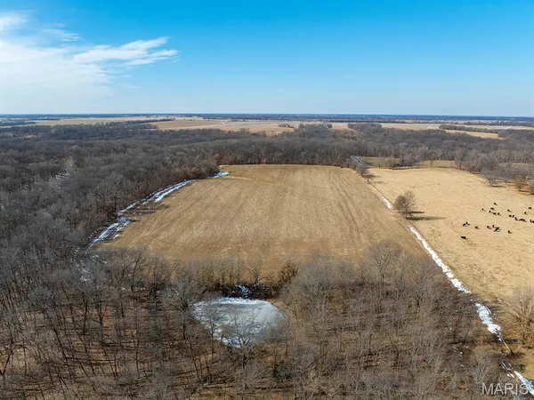 $988,300 | 1175 Pike 41, Bowling Green, MO 63334