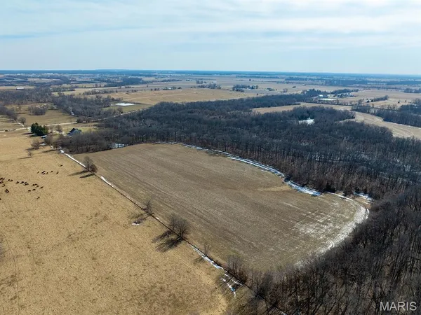 $988,300 | 1175 Pike 41, Bowling Green, MO 63334