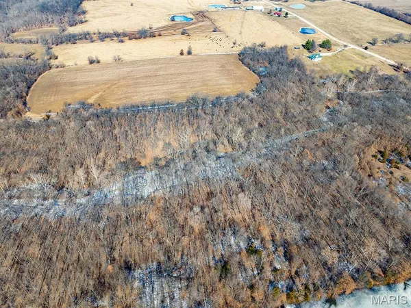 $988,300 | 1175 Pike 41, Bowling Green, MO 63334