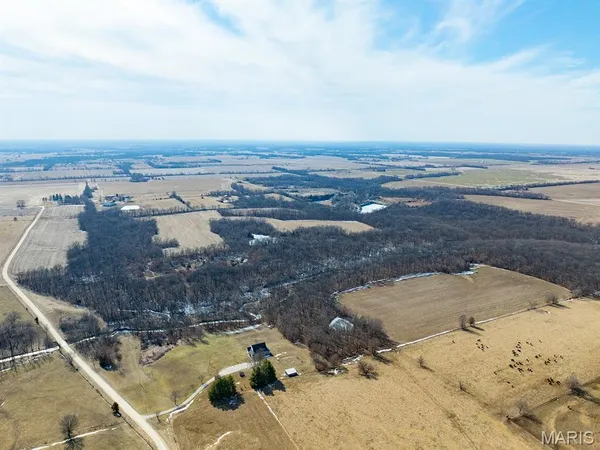 $988,300 | 1175 Pike 41, Bowling Green, MO 63334