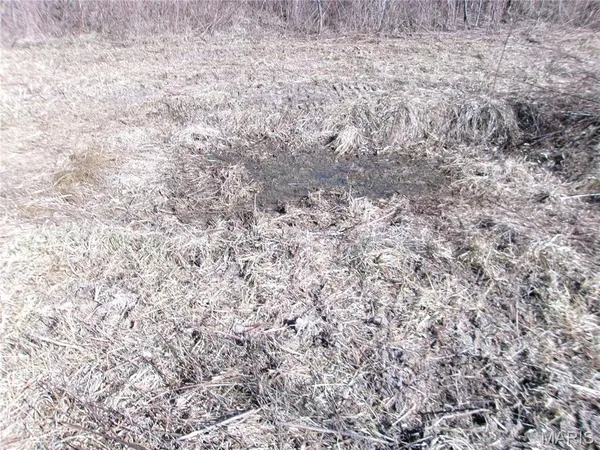 $988,300 | 1175 Pike 41, Bowling Green, MO 63334