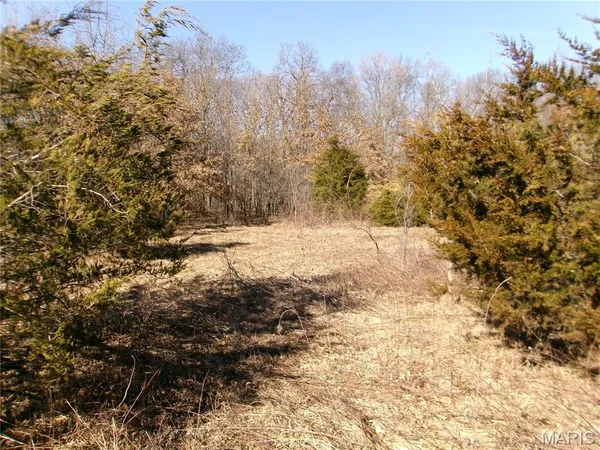 $988,300 | 1175 Pike 41, Bowling Green, MO 63334