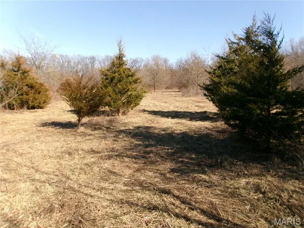 $988,300 | 1175 Pike 41, Bowling Green, MO 63334