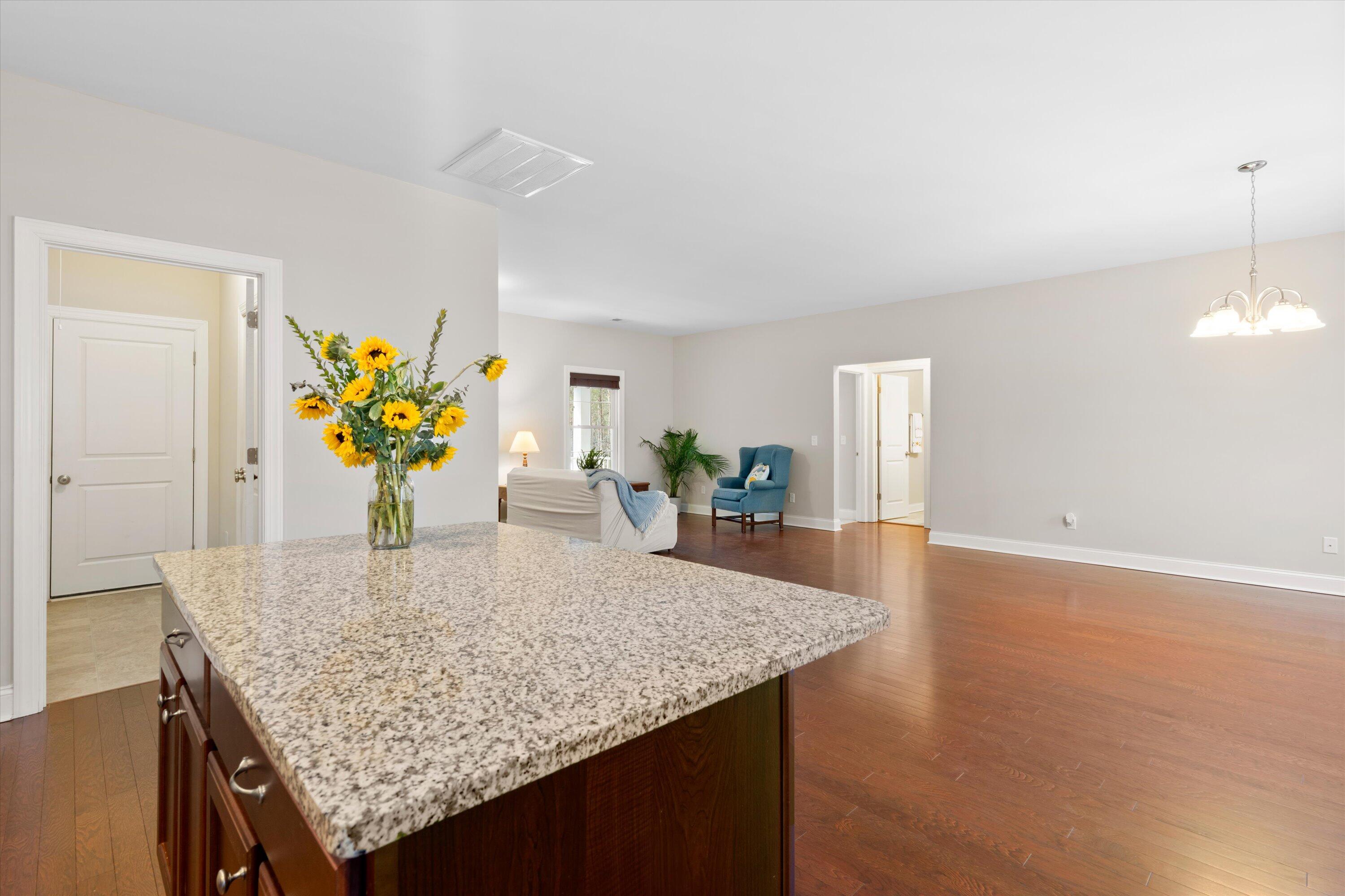 8255 Chisolm Plantation Road Edisto Island, SC 29438 - Photo 13 of 49 11-DSC06996_1