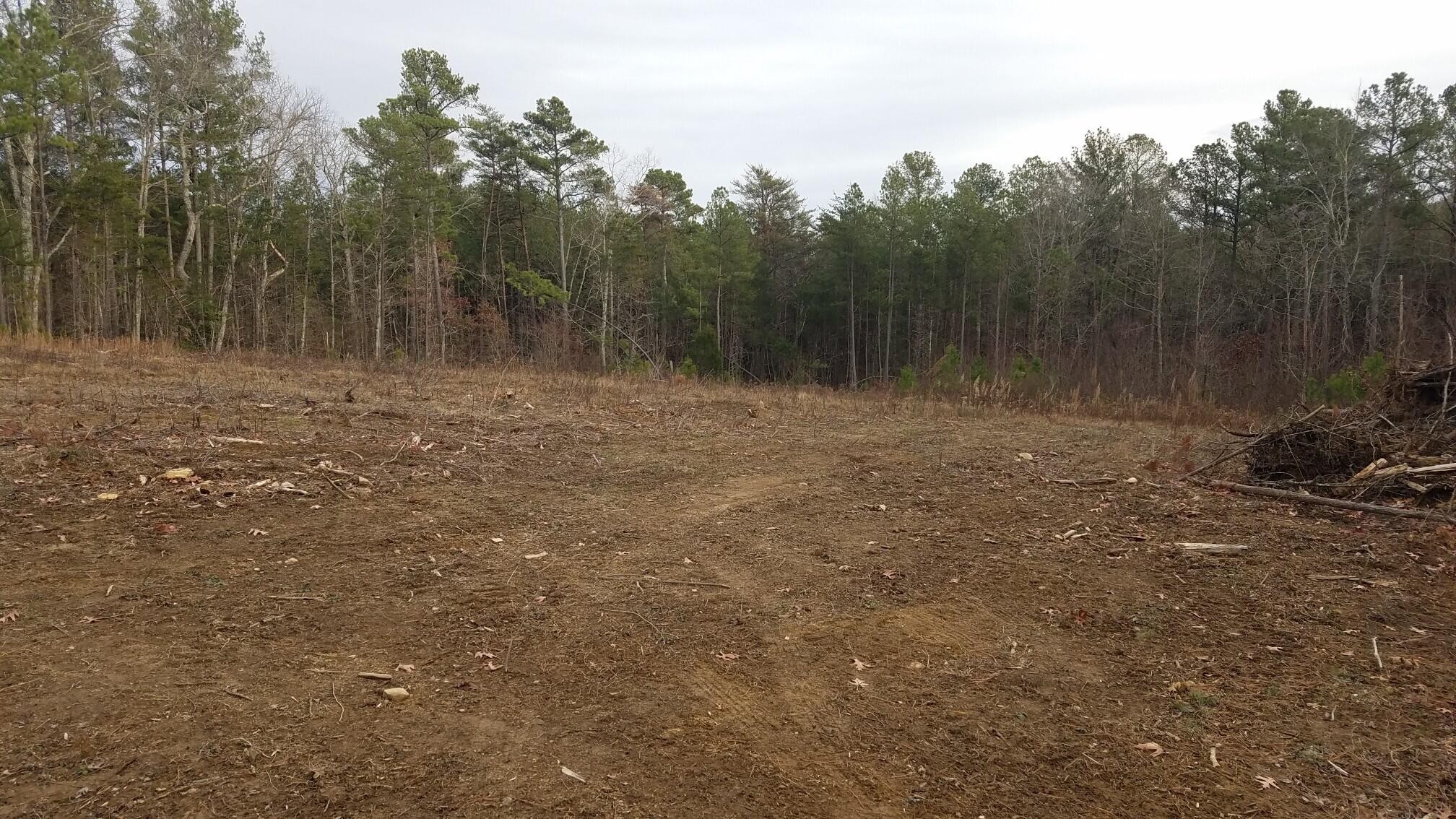 17 South R 399 Dunlap, TN 37327 - Photo 26 of 28 Gallery Image 26
