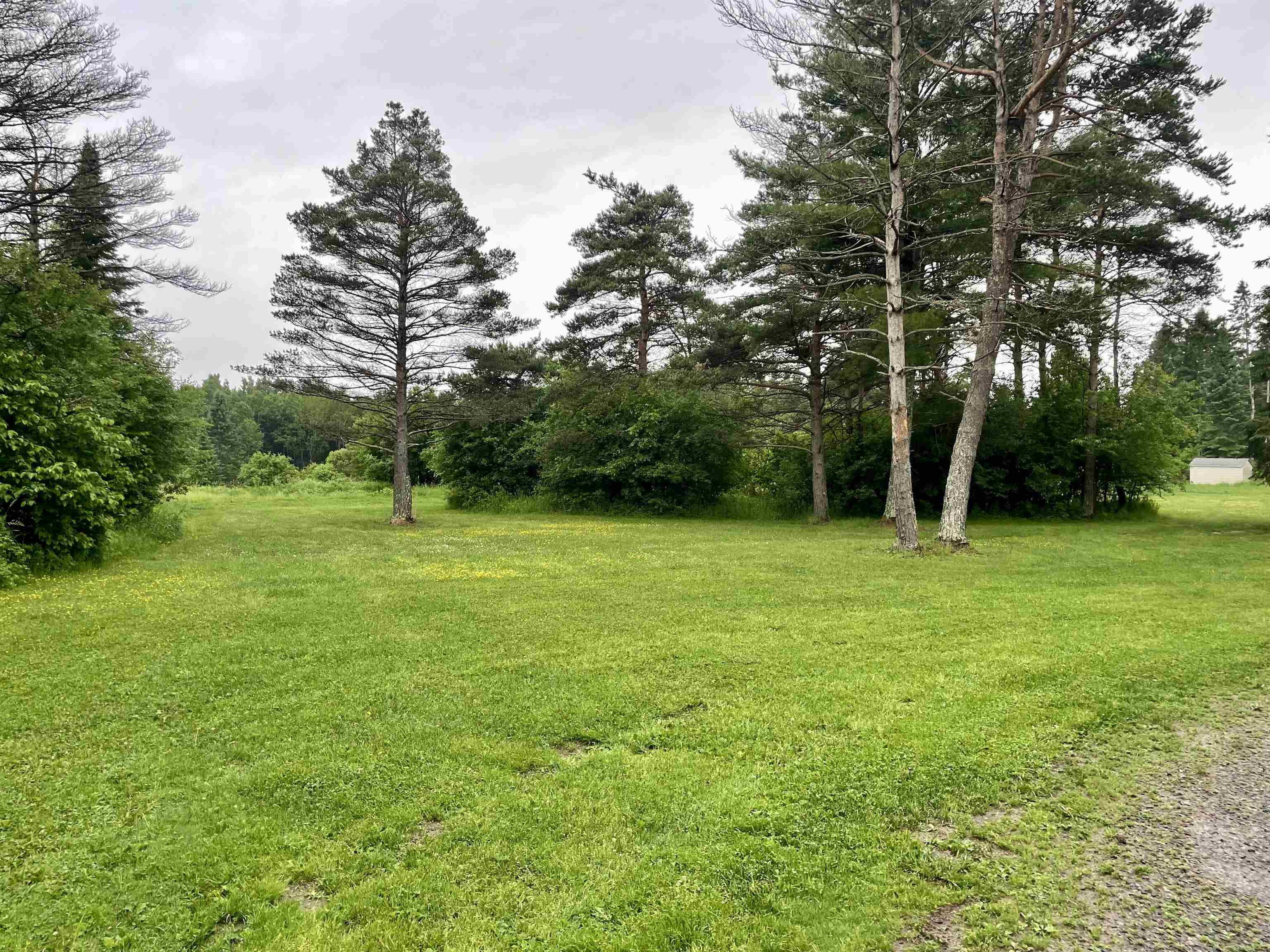 W4981 Morner Road Ogema, WI 54459 - Photo 30 of 34