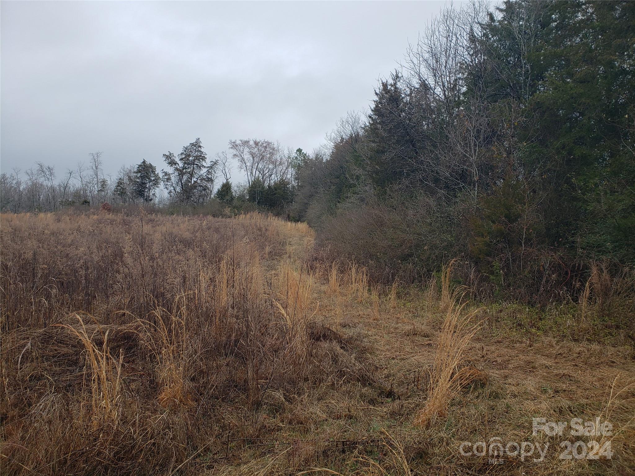 3150 Cold Springs Road South Concord, NC 28025 - Photo 2 of 2 Gallery Image 2