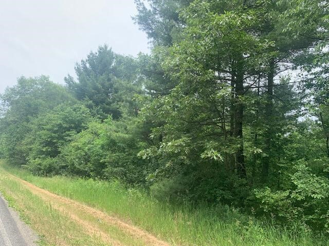 A-1 West Gates Road Stanwood, MI 49346 - Photo 1 of 1 Gallery Image 1