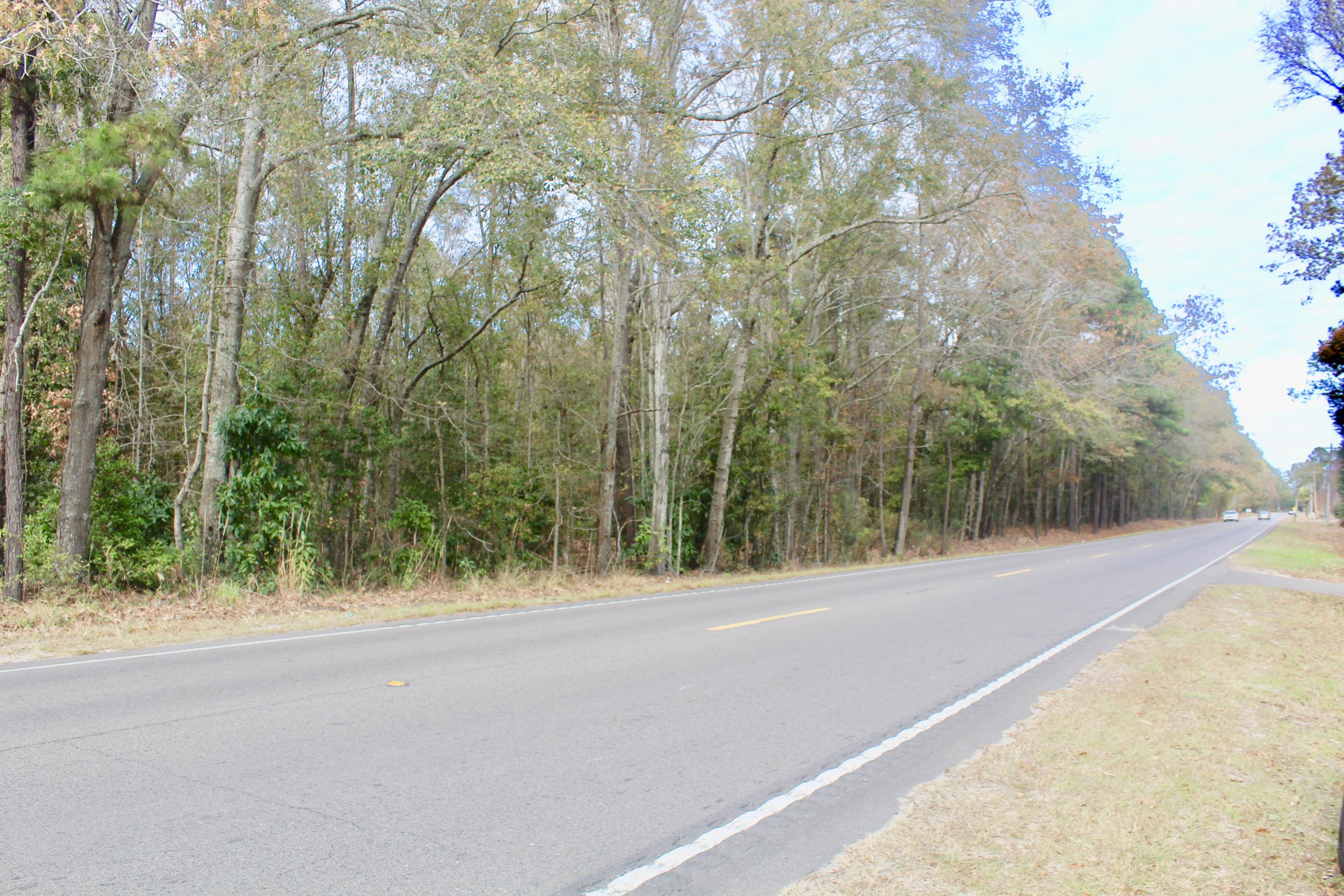 0 Sidneys Road Walterboro, SC 29488 - Photo 1 of 6 Frontage on Sidneys