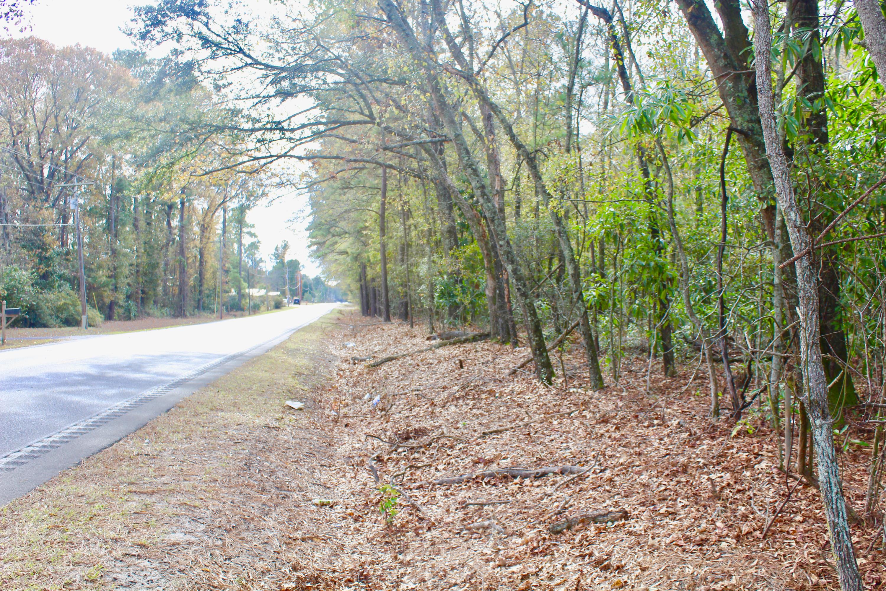 0 Sidneys Road Walterboro, SC 29488 - Photo 2 of 6 View towards VA