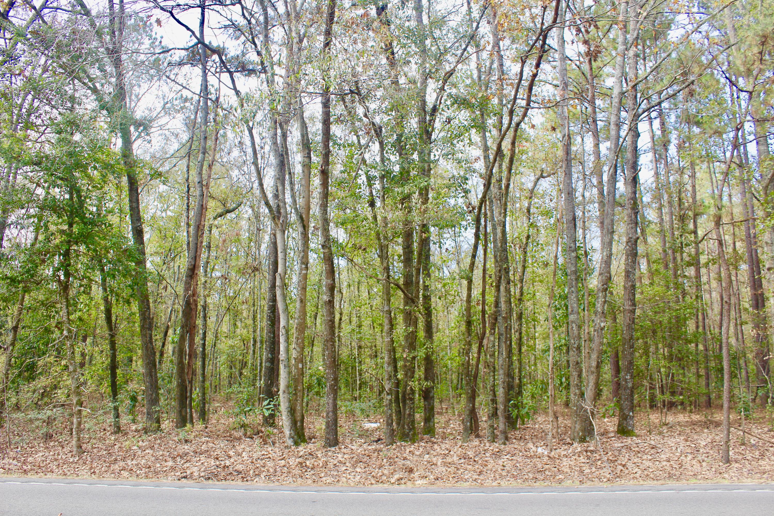 0 Sidneys Road Walterboro, SC 29488 - Photo 4 of 6 VIEW FROM SIDNEYS