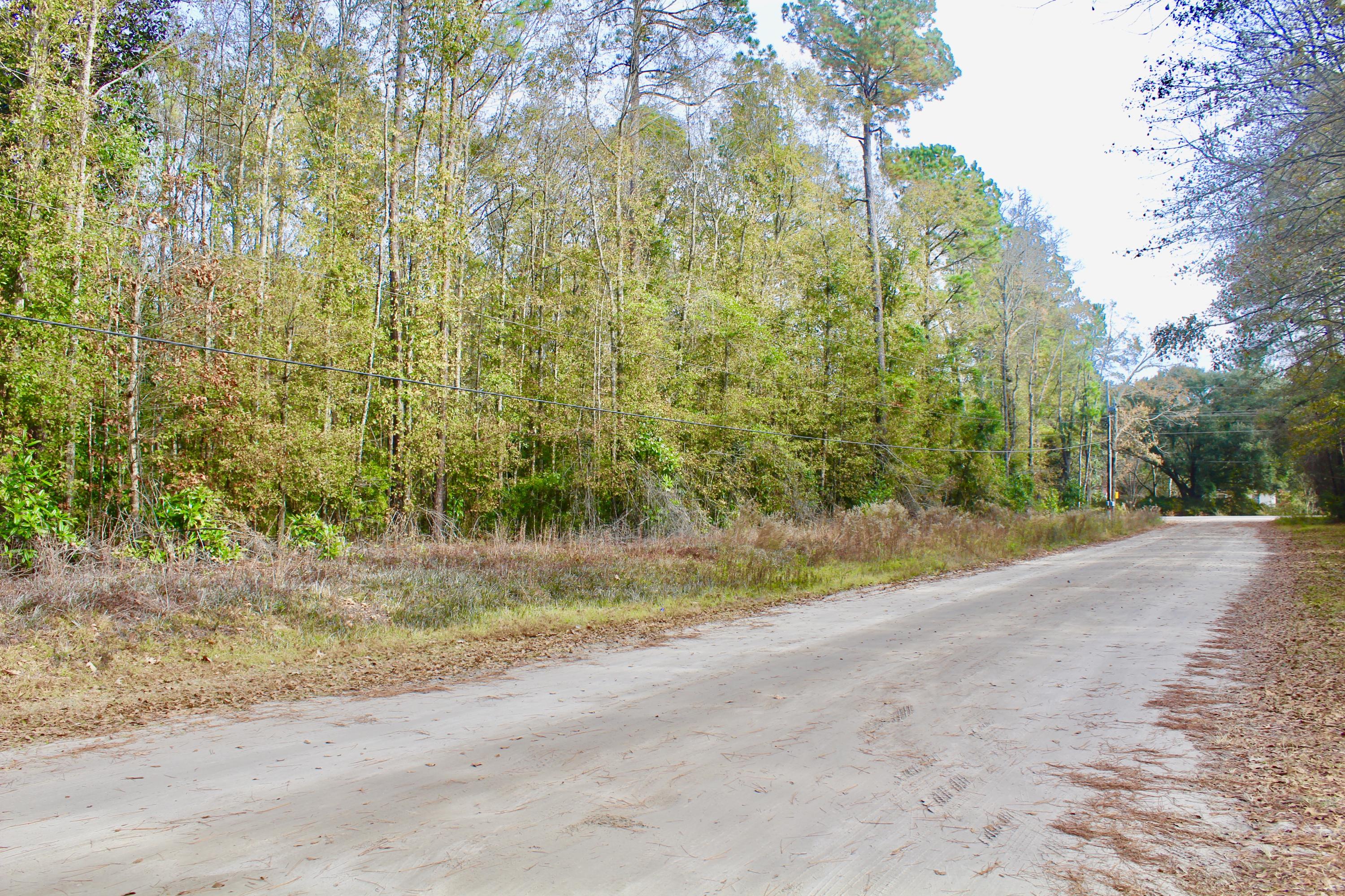 0 Sidneys Road Walterboro, SC 29488 - Photo 6 of 6 Harrison frontage