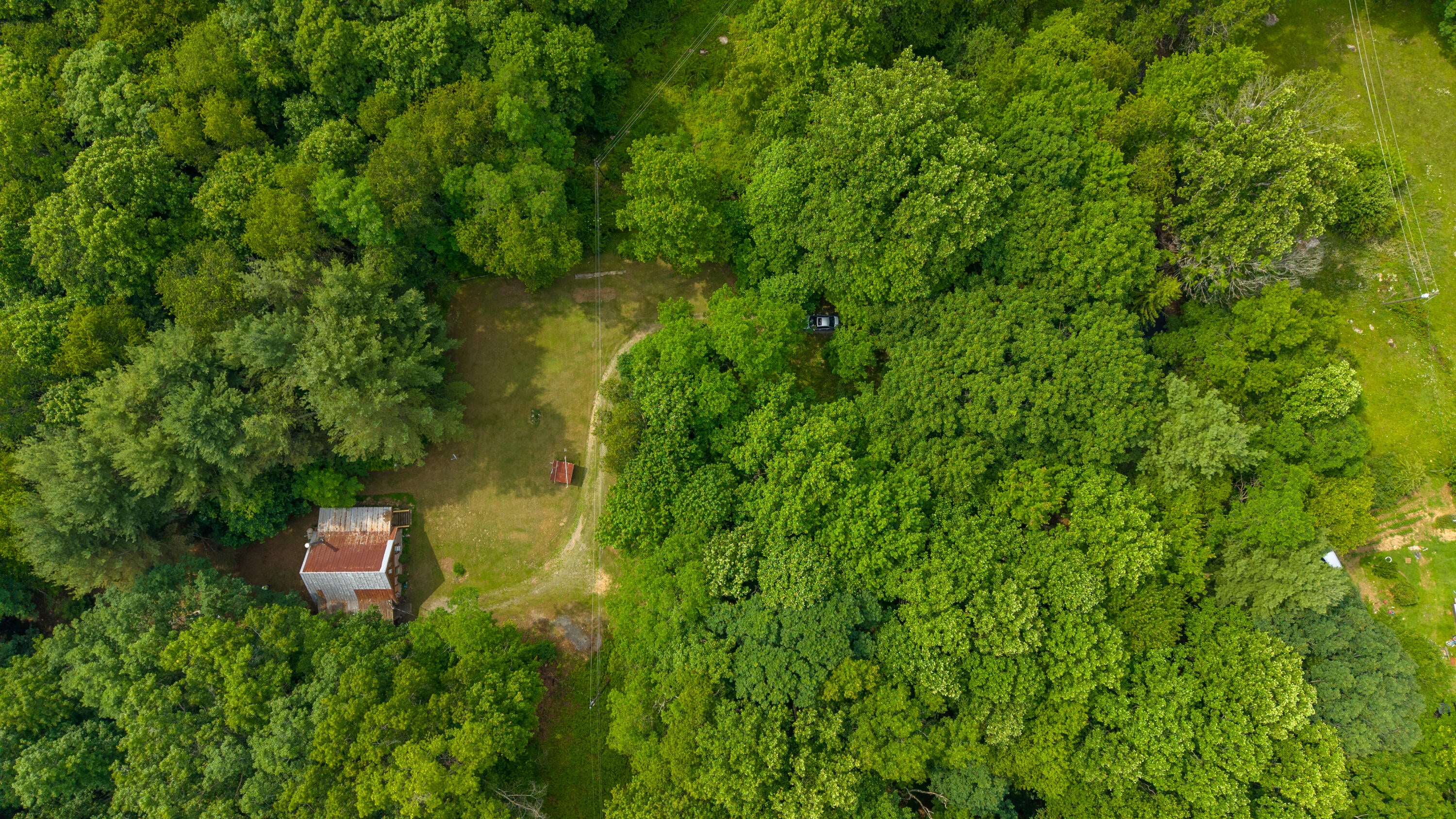 471 Springdale Sawmill Road Meadow Bridge, WV 25976 - Photo 54 of 63 Gallery Image 54