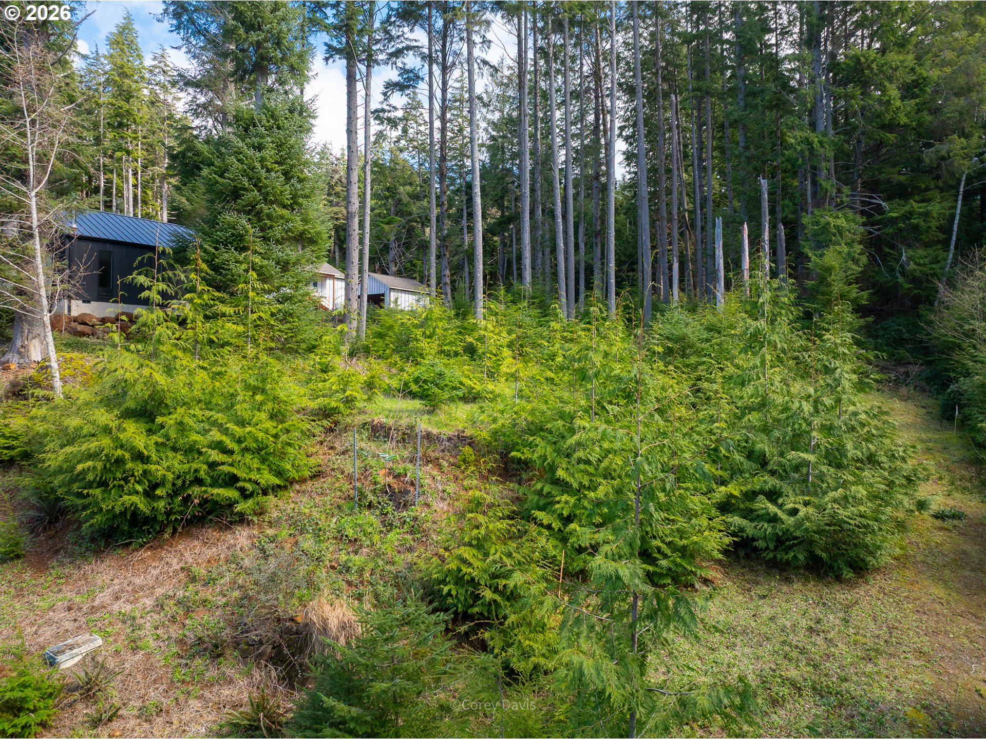 0 Walsh Lane Arch Cape, OR 97102 - Photo 11 of 18 a view of outdoor space and a yard