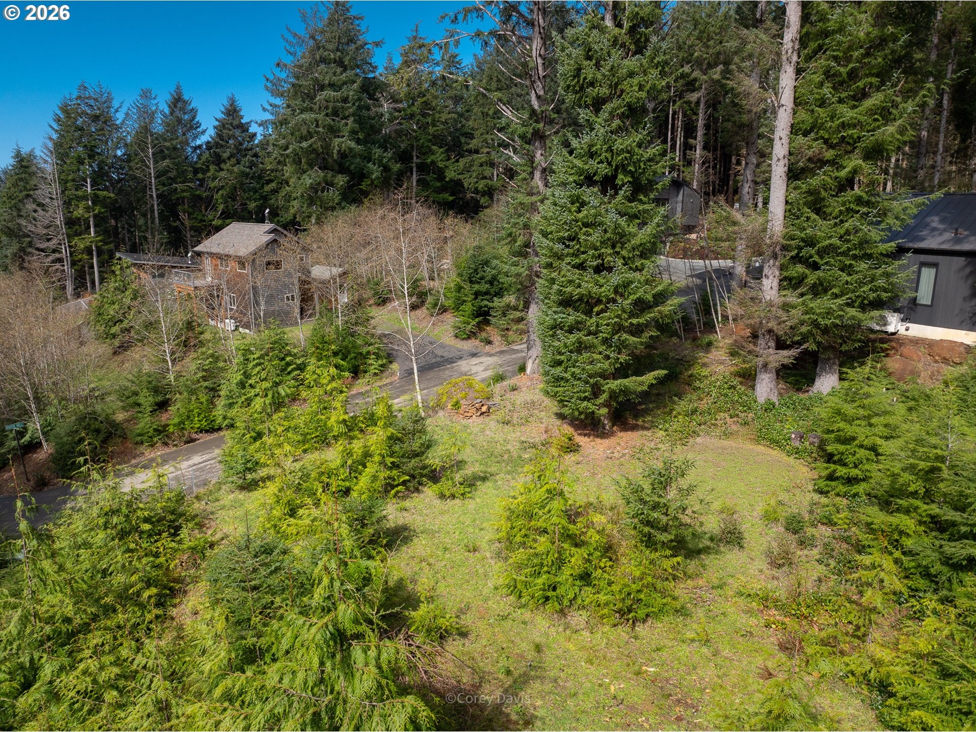0 Walsh Lane Arch Cape, OR 97102 - Photo 13 of 18 a view of a garden with large trees