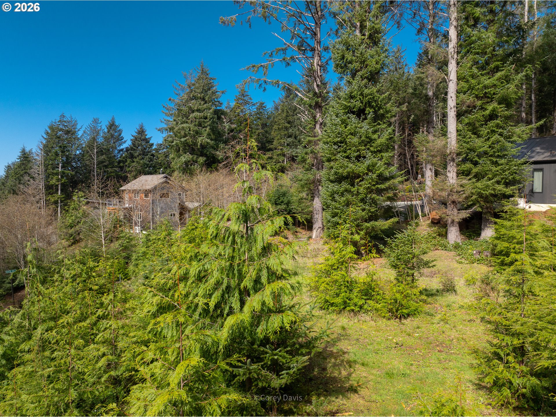 0 Walsh Lane Arch Cape, OR 97102 - Photo 16 of 18 a view of a garden